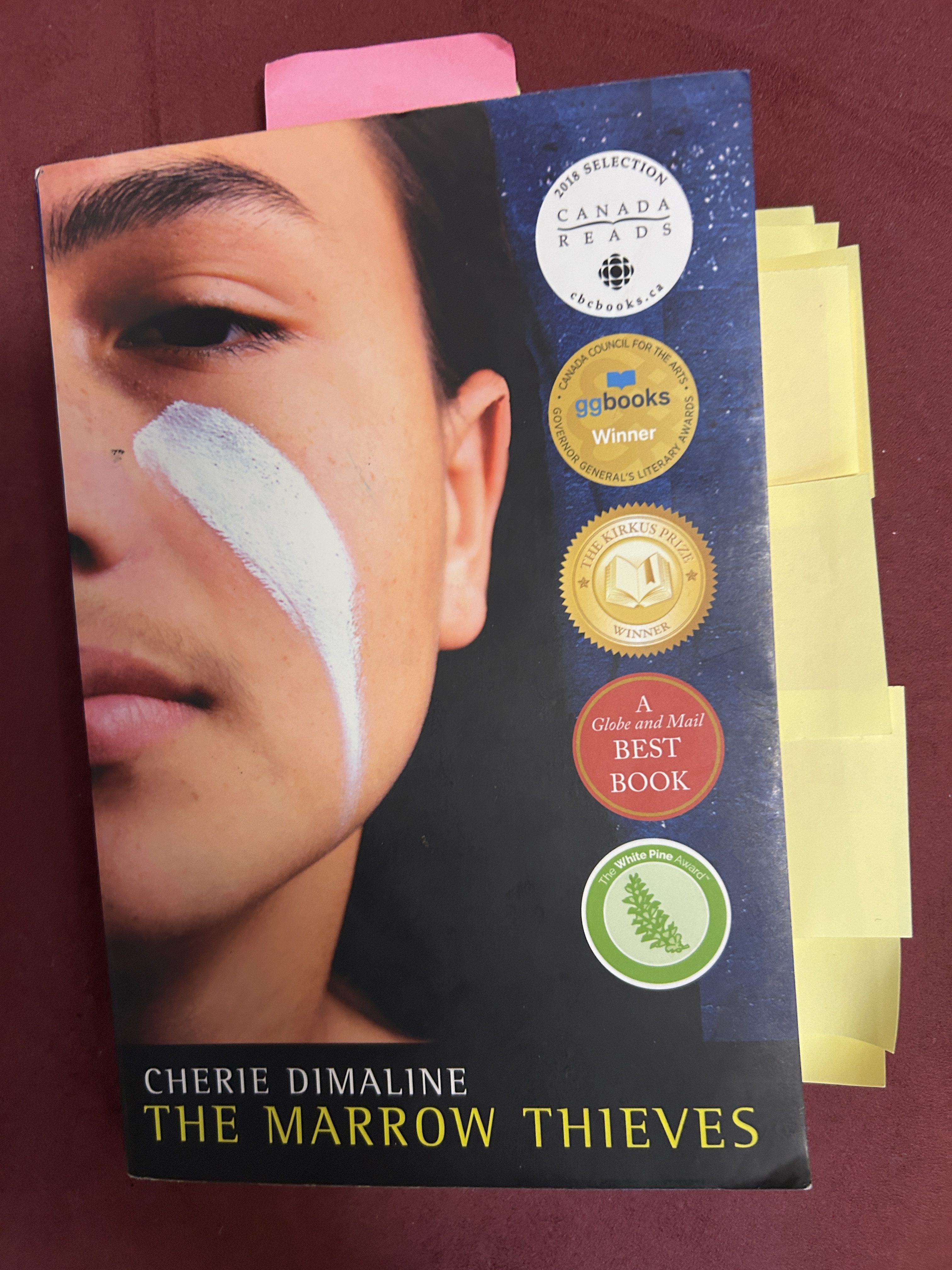 14. Cherie Dimaline, The Marrow Thieves – Reading and Walking